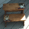 2 corgis