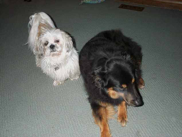 Mom she has to go out.
