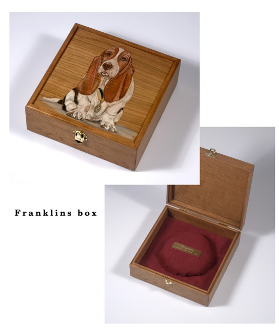 collar box