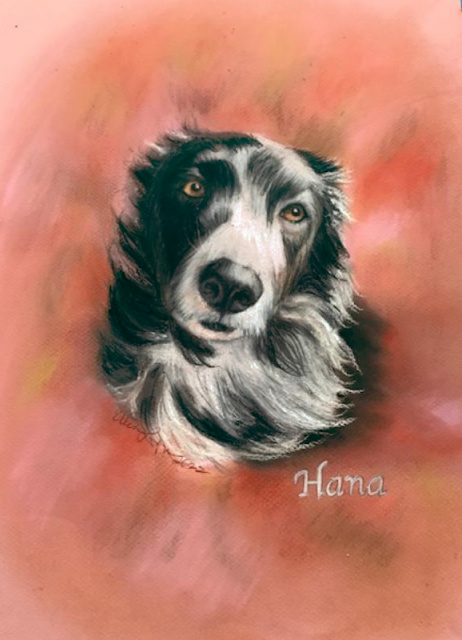 Pastel Portraits of your beloved pet