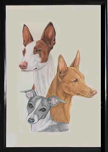 three hounds