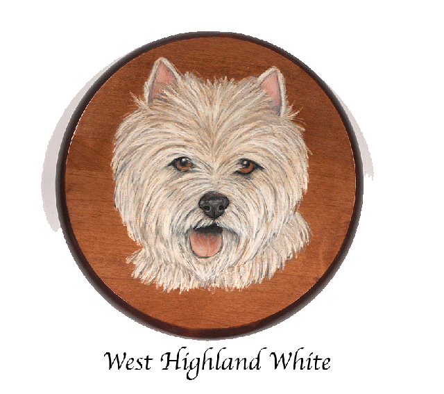 west highland white terrier